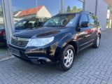 Subaru Forester Active - Subaru in Berlin
