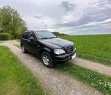 Mercedes-Benz Mercedes ML270, W163, Autom., Allrad, AHK,... - Mercedes-Benz ML 270 aus 2001