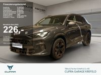 Cupra Terramar - Vorschau Bild 1
