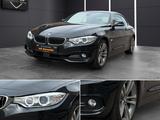 BMW Cabrio 435d xDrive*Navi*Bluet*Tempo*Memory*Leder - BMW 435 mit Diesel-Antrieb: Cabrio