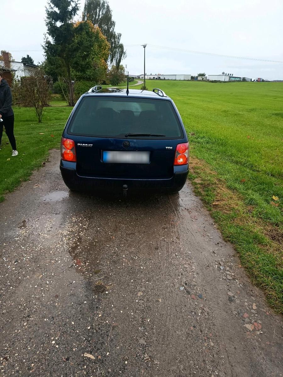 Volkswagen Passat 2005 — rear view