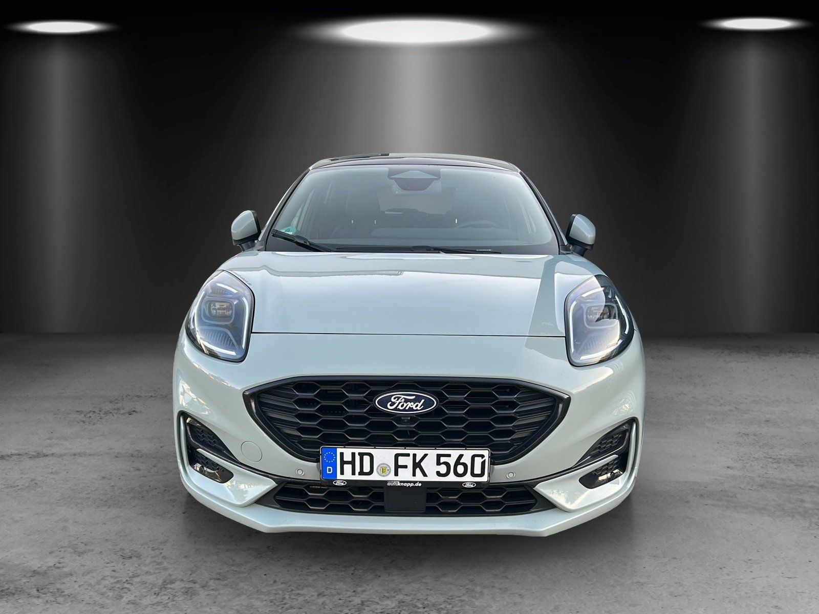 Fahrzeugabbildung Ford Puma ST-Line X Pano Dach Winter Paket 19Zoll