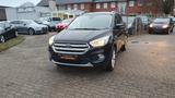 Ford Kuga Titanium/AUTOMATIC/4 WD/NAVI - Ford: Automatic