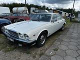 Jaguar XJ12 3x jaguar  - Jaguar Gebrauchtwagen von 1985