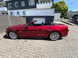Ford Mustang 5.0 Ti-VCT V8 GT Auto GT* Benzin/LPG - Ford Mustang Gebrauchtwagen in Wuppertal