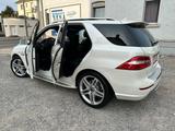 Mercedes-Benz ML 500 Blue Efficiency  VOLLAUSTATTUNG - Mercedes-Benz ML 500 aus 2013