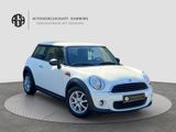 MINI ONE Mini One 1.6 Salt*Klima*6Gang*Rechng.Gepflgt - MINI MINI: R1