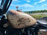 Harley-Davidson Iron 1200 / Endzeit Optik / Custom Paint - HARLEY-DAVIDSON PA