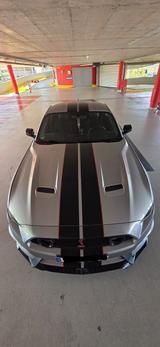 Ford Mustang 2.3 EcoBoost Auto - - gebrauchte Ford Mustang aus dem Jahr 2021