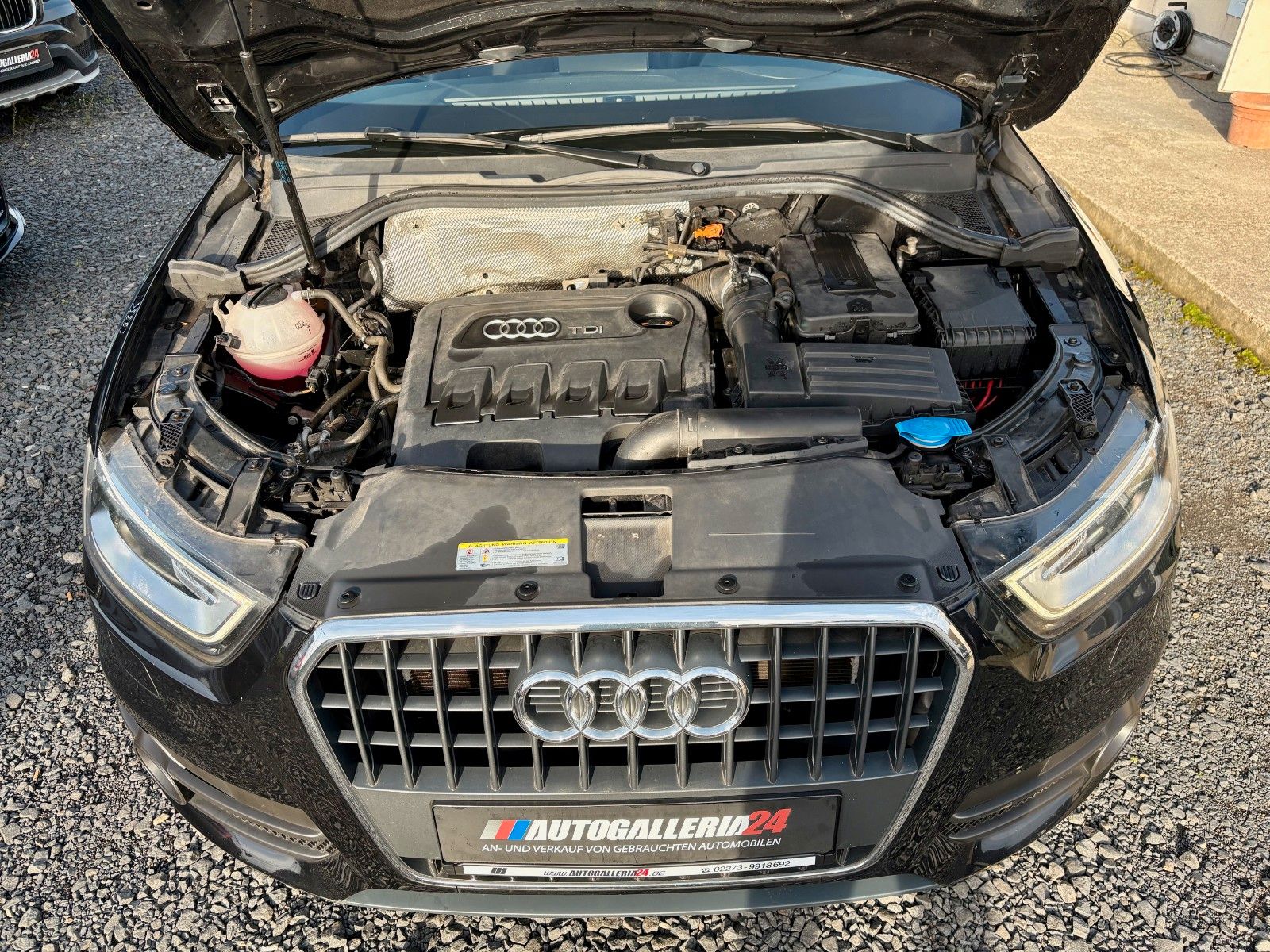 Fahrzeugabbildung Audi Q3 2.0 TDI Navi Xenon Alcantara/Leder SPORTSITZE