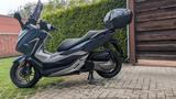 Honda Forza 300 NF08 - HONDA FORZA 300