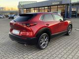 Mazda CX-30 2.0-X AWD Leder Bose Matrix-LED AHK Select - Mazda CX-30 Gebrauchtwagen