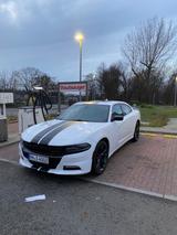 Dodge Charger 3,6 l V6  - gebrauchte Dodge Charger aus dem Jahr 2017
