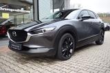 Mazda CX-30 2.5 140PS 6AG Homura Kamera Voll-LED Navi  - Mazda: V6