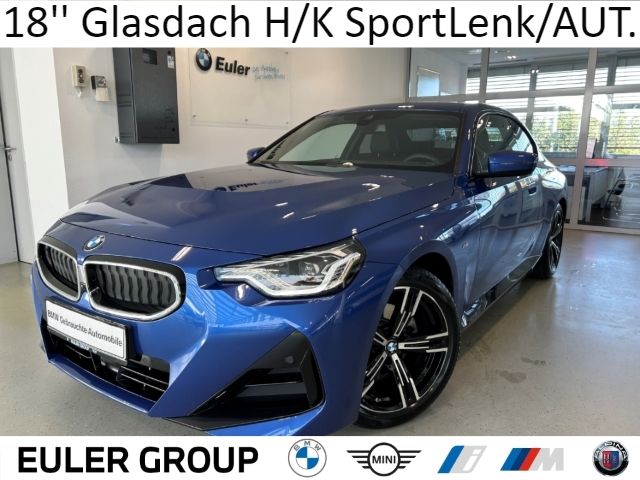 BMW 220 i M-Sport Sommer18'' Glasdach H/K SportLenk/