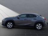 Lexus UX 250 h*KAMERA* - Lexus UX Gebrauchtwagen