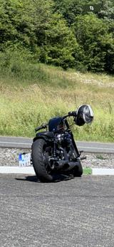 Harley-Davidson Sportster - Harley-Davidson Motorräder in Bonn