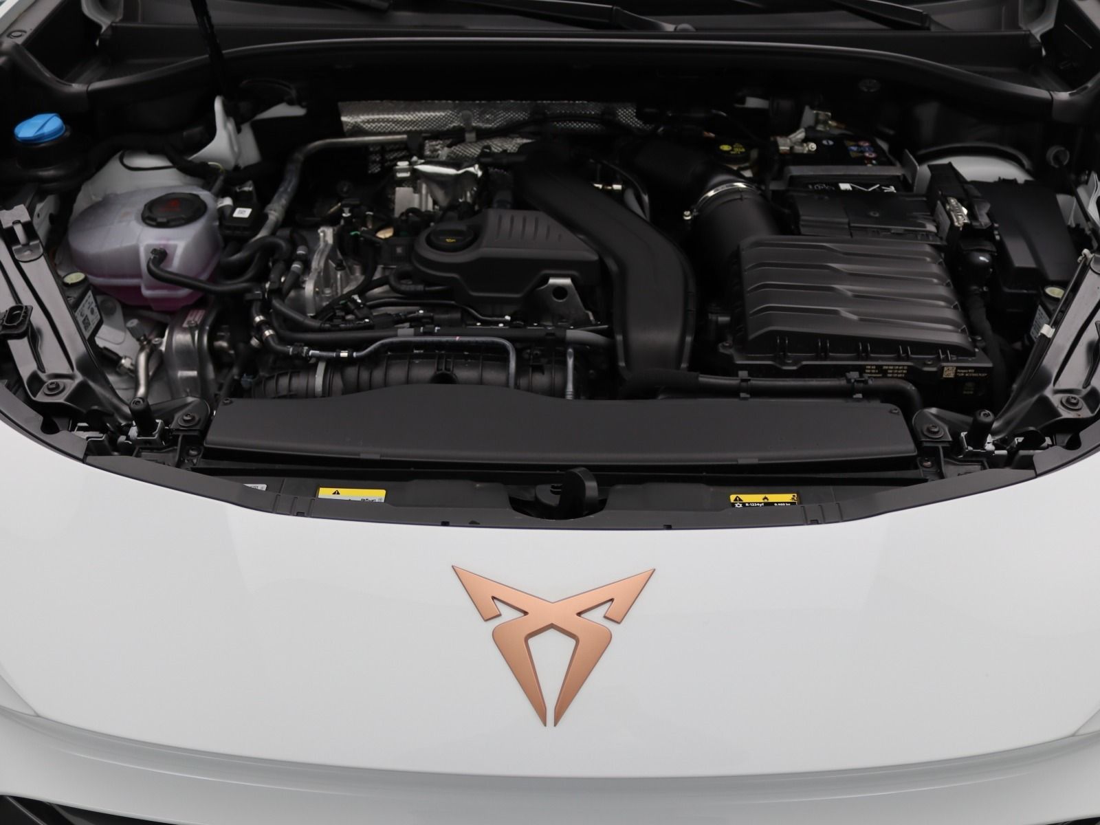 Cupra Terramar - Bild 17