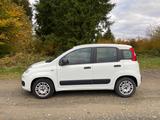 Fiat New Panda 1.2 8V EASY EASY - Fiat New Panda von privat