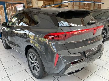Cupra Terramar - 8