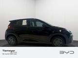 BYD DOLPHIN SURF Active - BYD: Kleinwagen