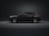 Cupra Formentor 2.0 TSI DSG 4Drive +KONFIGURIERBAR+ - Gebrauchtwagen in Koblenz