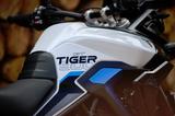 Triumph TIGER 900 ALPINE EDITION   2026 TZ - Triumph Tiger 900 Alpine Edition
