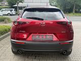 Mazda CX-30 e-SKYACTIV-G 2.0 M HYBRID HOMURA Navi ACC  - Mazda CX-30 in Duisburg