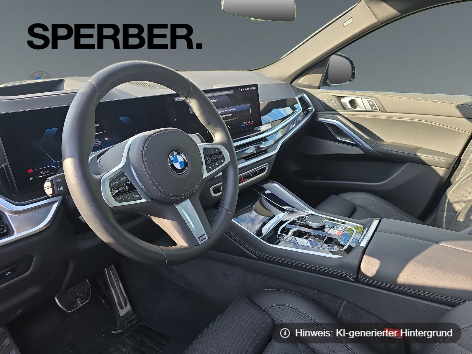 BMW X6 - Bild 10