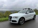 Audi SQ5 3.0 TDI competition tiptronic quattro - - Audi SQ5 in Bonn