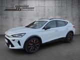 Cupra Formentor 2.0 TSI 245kW VZ DSG 4Drive Sennhe AHK - Cupra Formentor Tageszulassungen