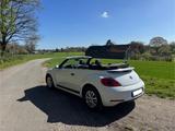 Volkswagen Beetle 1.2 TSI BMT Cabriolet - weiß - Volkswagen Beetle in Duisburg