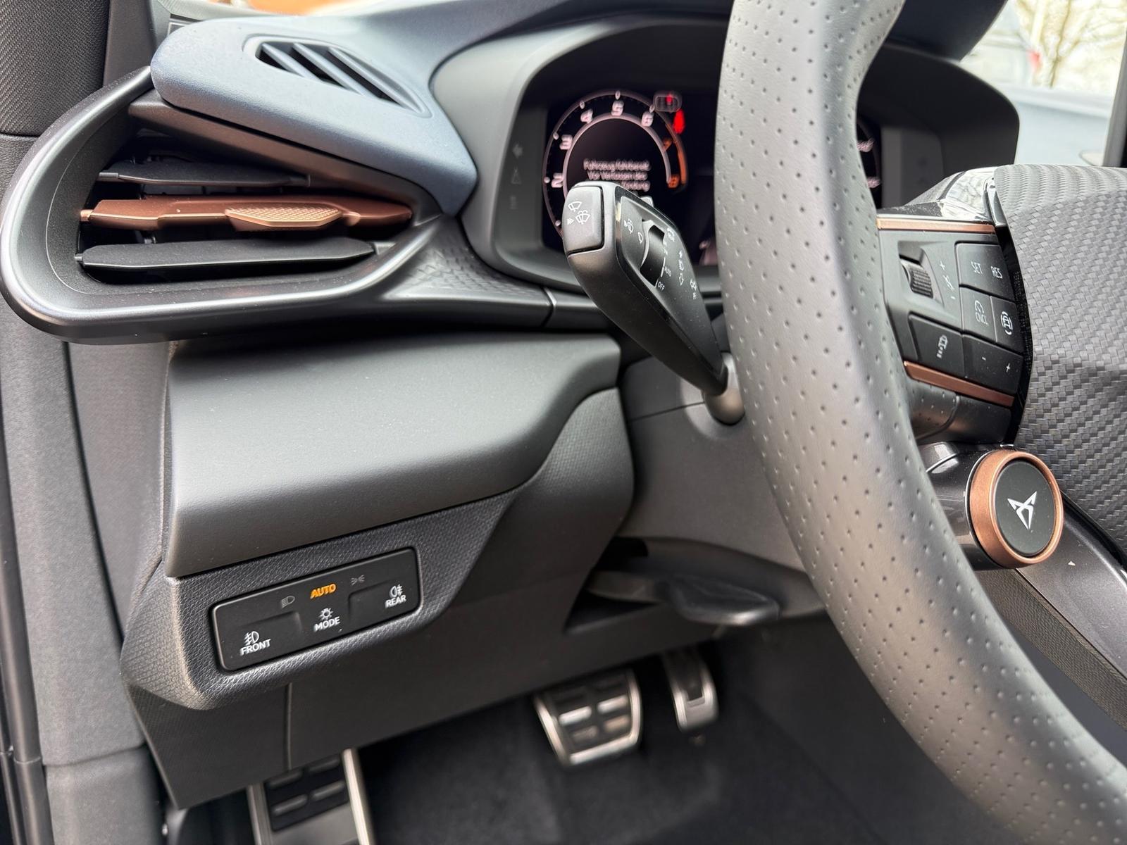 Cupra Terramar VZ 2.0 TSI 4Drive DSG AHK ACC Kamera, миниатюра 5