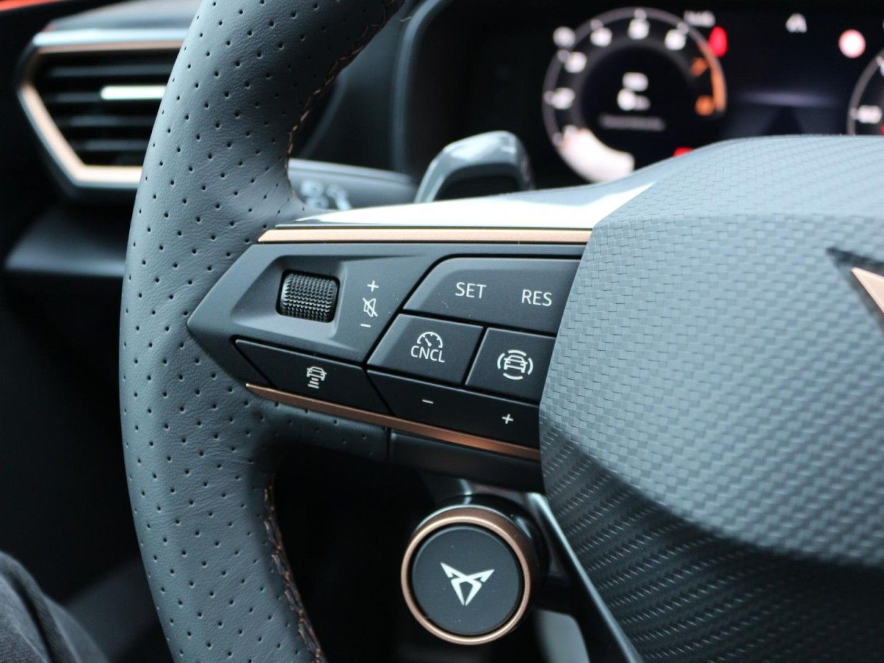 Fahrzeugabbildung CUPRA Formentor VZ 2.0 TSI 333 PS 7-Gang-DSG 4Drive