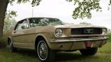 Ford Mustang V8, Blackplate, Classic Data 2 - Ford Mustang Black Gebrauchtwagen