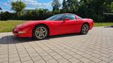Corvette C5 5.7 Coupé mit abnehmbaren Targa Dach Automati - Corvette C5 Gebrauchtwagen
