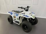 SMC Buzzy 50 - Quads bis 2.000 Euro