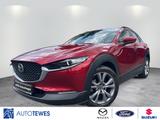 Mazda CX-30 2.0l "Selection" M Hybrid - Mazda CX-30 Gebrauchtwagen in Berlin
