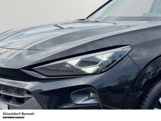 Cupra Terramar - Bild 4