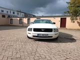 Ford Fort Mustang V6 - gebrauchte Ford Mustang aus dem Jahr 2007