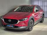Mazda CX-30 Homura G-122/MT/Premium-P./Navi/Head-Up/36 - Mazda CX-30 mit Hybrid-Antrieb: Homura
