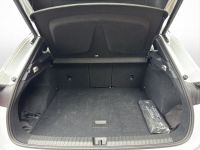 Cupra Terramar - Vorschau Bild 13