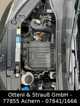 Seat Mii Style 1,0 55/75 5T 5GS *KW-Fahrwerk*OZ* - gebrauchte Seat Mii aus dem Jahr 2012