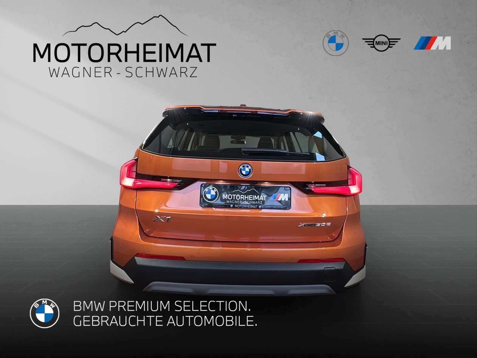 BMW X1 xDrive30e 18" AHK 360° HUD Premium foto 6