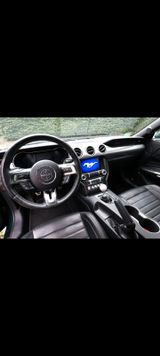 Ford Mustang 5.0 Ti-VCT V8 Bullitt Bullitt - Ford Mustang: Bullit