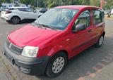 Fiat Panda 1,2 Liter  - Fiat Panda in Hagen