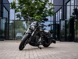 Andere Other Other Harley-Davidson  Sportster Nightster - : Other