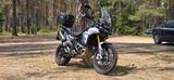 Triumph Tiger 900 Rally Pro - Triumph Tiger 900 Rally Pro