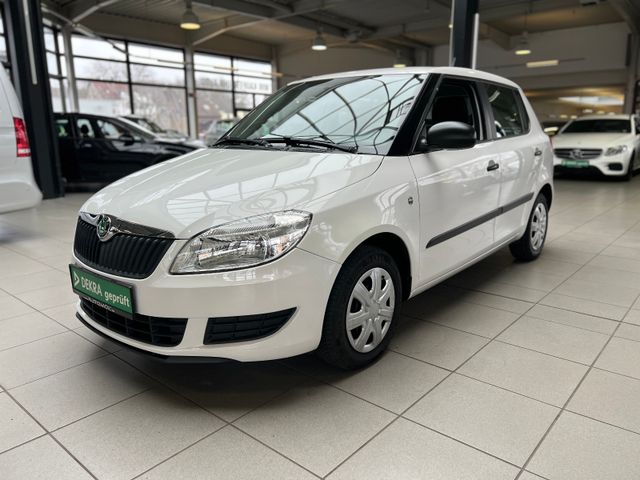 Skoda Fabia Cool Edition Winterreifen RDC