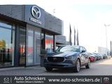 Mazda CX-30 SKY-G SELECTION+PRE-P+AHK+GJ-RÄDER !! - Mazda CX-30 aus 2023